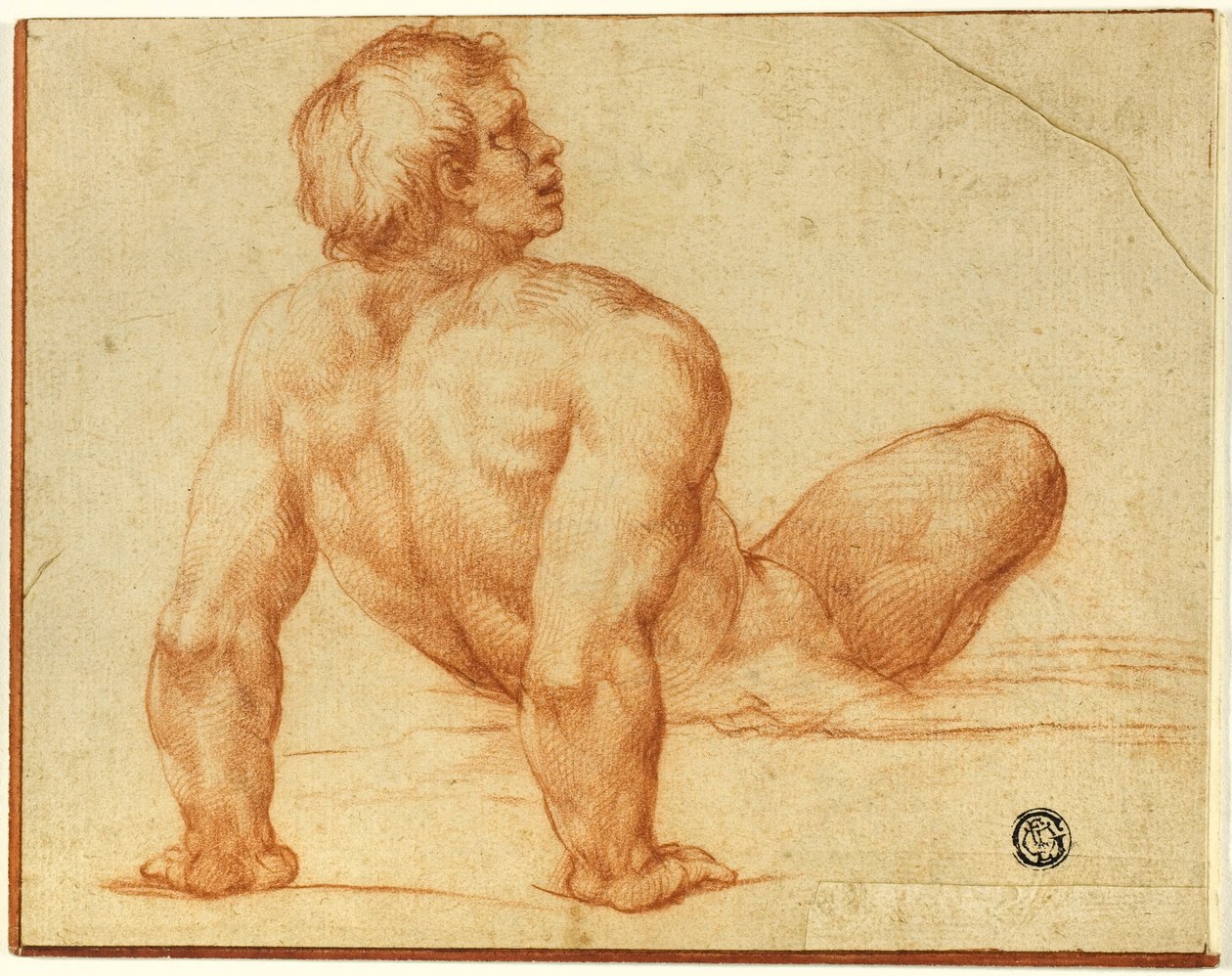 Ülő férfi akt alkotó: Michelangelo Buonarroti