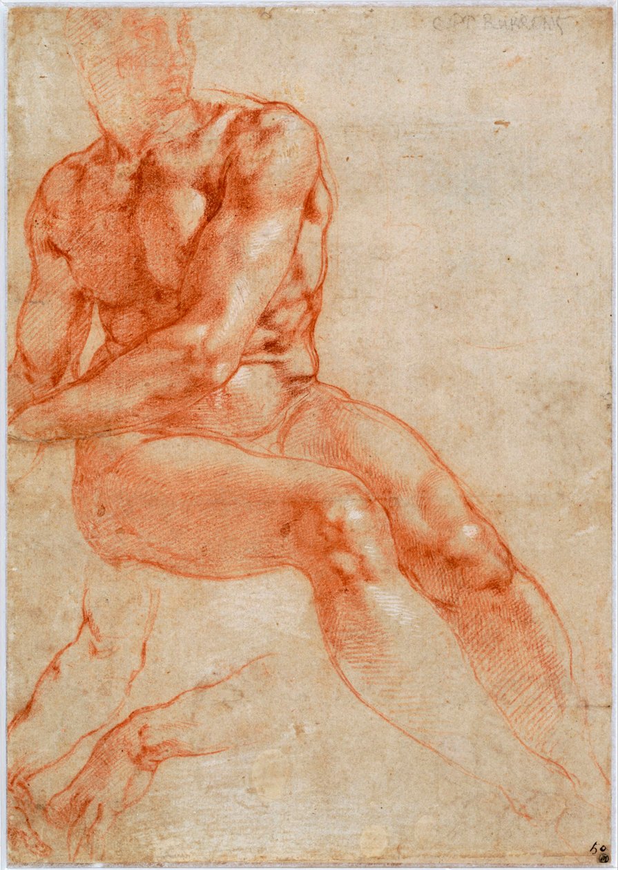 Ülő fiatal férfi akt és két kar tanulmányok, kb. 1510-1511 alkotó: Michelangelo Buonarroti