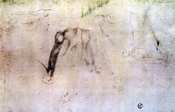 Lábak vázlata (faszén papíron) alkotó: Michelangelo Buonarroti