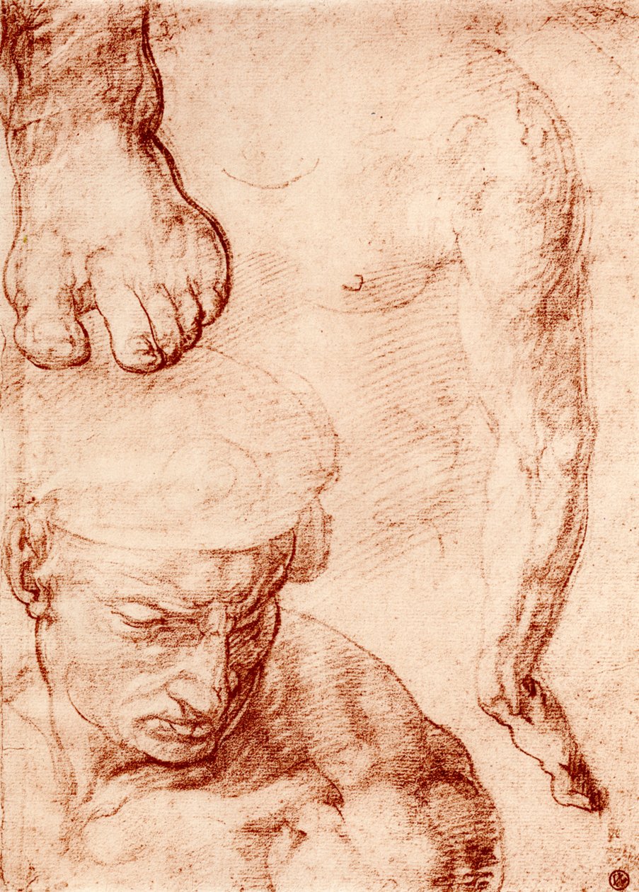 Tanulmányok az utolsó ítélet keresztvivőjének alakjához, Sixtus-kápolna, Róma, 1913 alkotó: Michelangelo Buonarroti