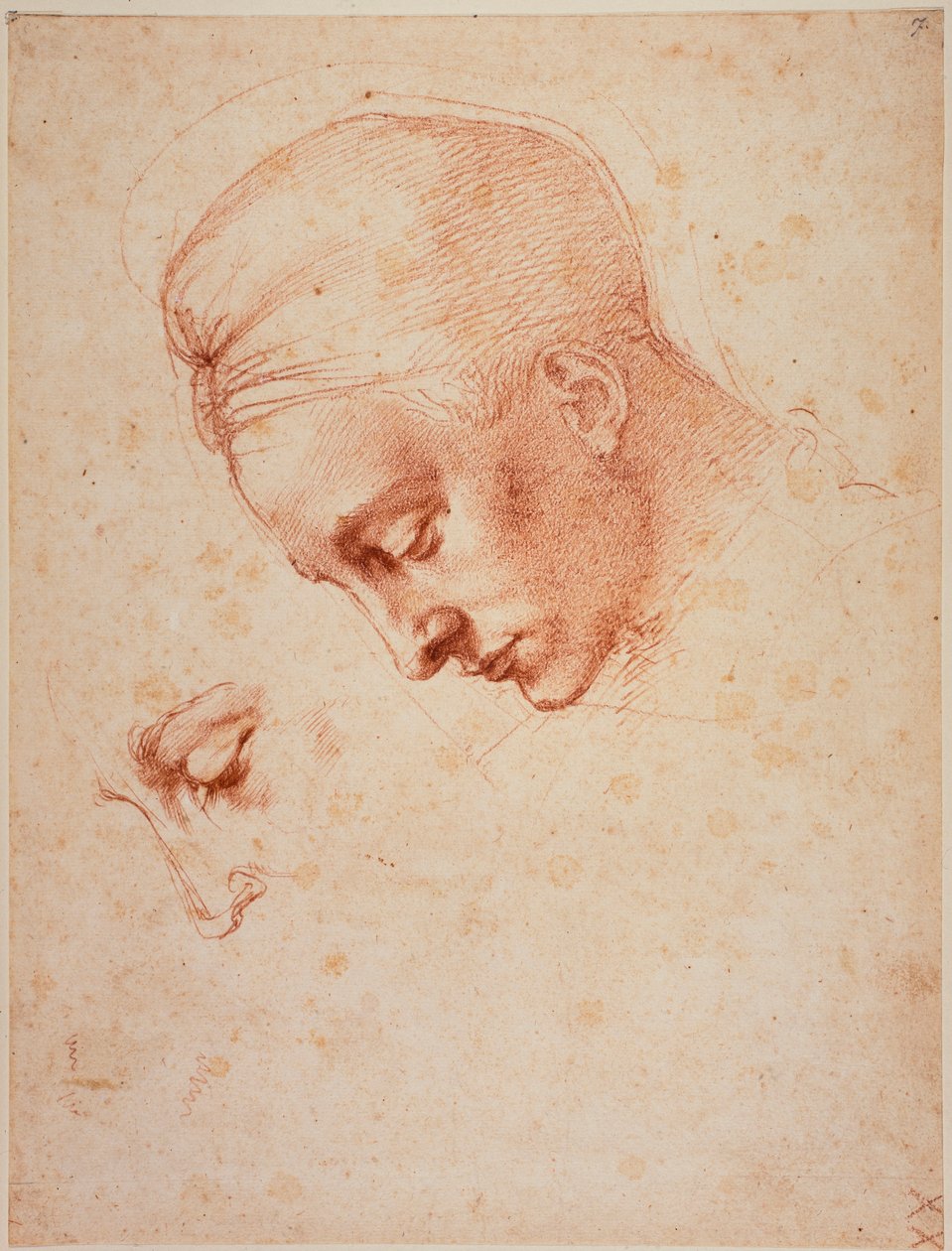 Tanulmányok a "Léda" fejéhez alkotó: Michelangelo Buonarroti