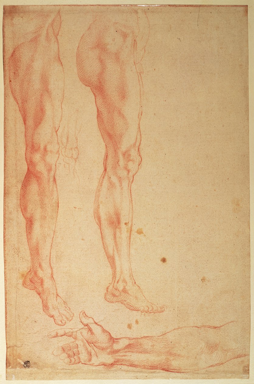 Lábak és karok tanulmányozása (piros kréta papíron) alkotó: Michelangelo Buonarroti