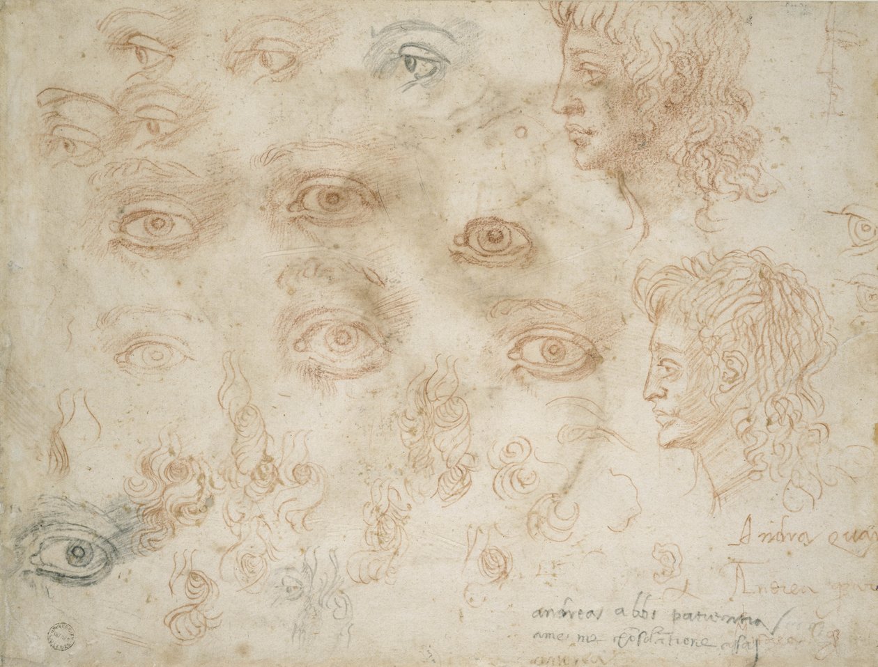 Tanulmányok két fejről, 1525 körül (kréta papíron) alkotó: Michelangelo Buonarroti