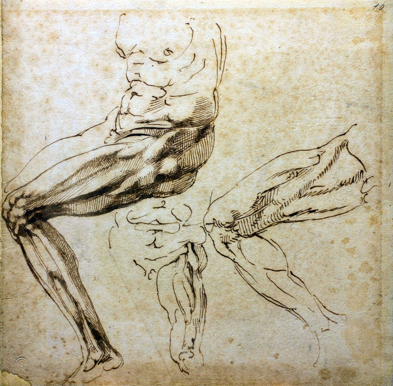 Lábtanulmányok, 1524-1525 alkotó: Michelangelo Buonarroti
