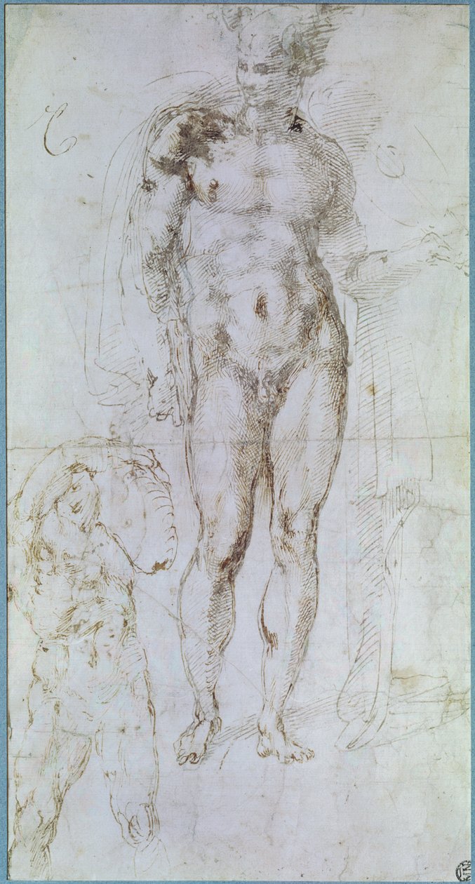 Tanulmány Apollo (korábban Merkúr) számára, aki meztelenül áll, vállára terített köpennyel és egy teherhordó férfi alakjával alkotó: Michelangelo Buonarroti