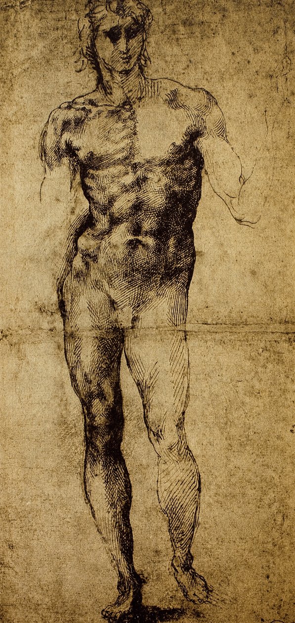 Tanulmány egy férfi akthoz, Michelangelo Buonarroti (1475-1564), rajz, Párizs, Louvre Múzeum alkotó: Michelangelo Buonarroti