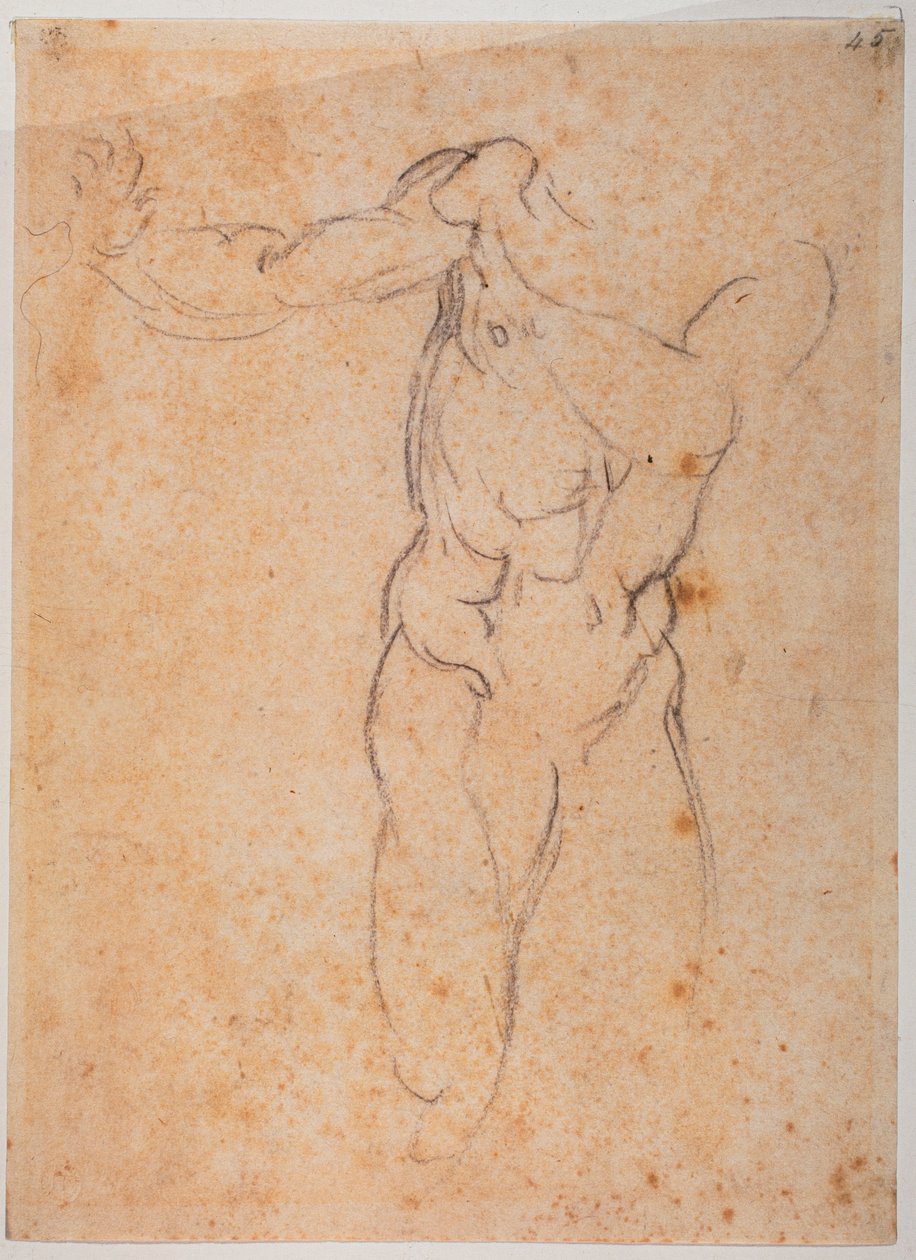 Tanulmány a "Pardisói kiűzetés" Ádámjához a Sixtus-kápolnában alkotó: Michelangelo Buonarroti
