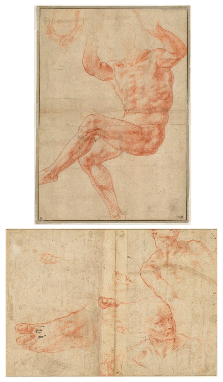 Tanulmány a meztelen fiataloknak Dániel prófétáról (recto); Ábratanulmányok a Sixtus-i mennyezethez (fordítva) alkotó: Michelangelo Buonarroti