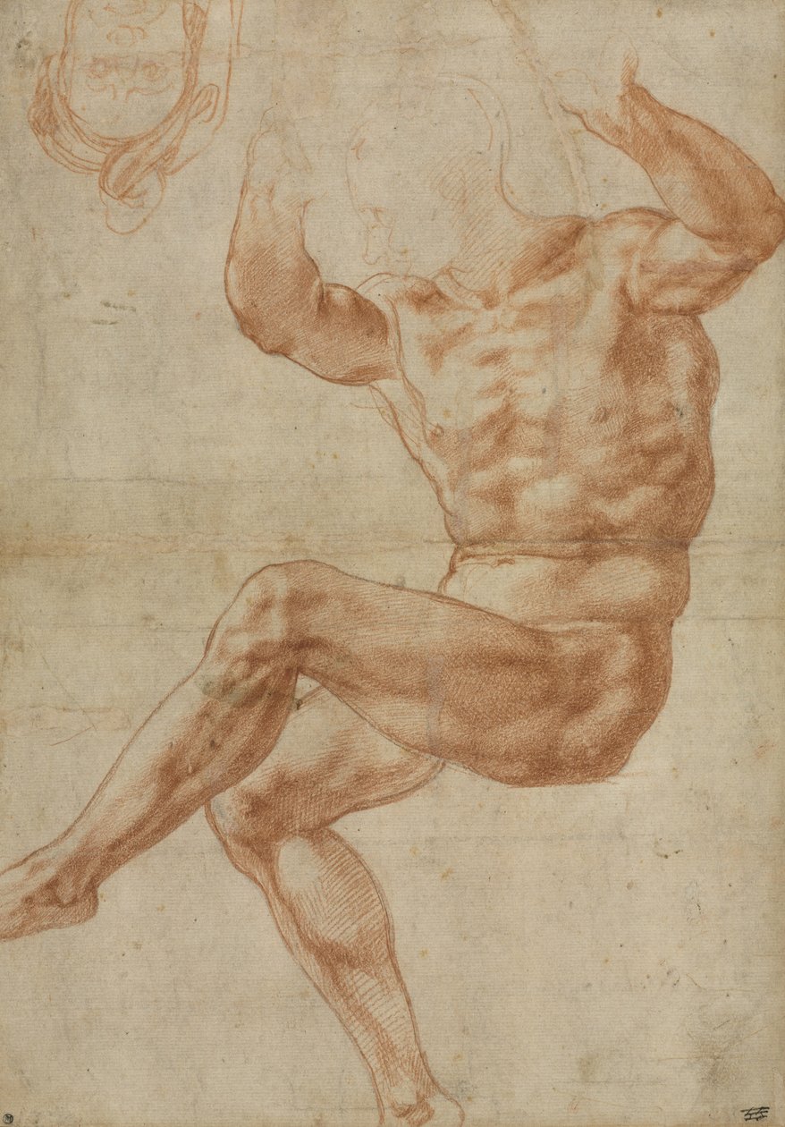 Tanulmány a meztelen fiataloknak Dániel prófétáról, a Sixtusi mennyezetről, 1510-11 alkotó: Michelangelo Buonarroti
