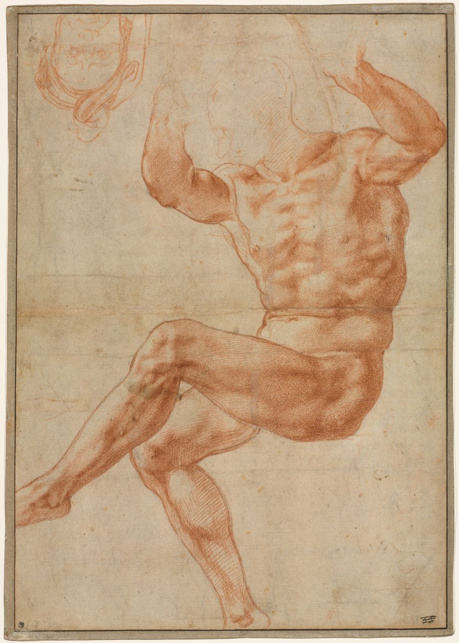 Tanulmány a meztelen fiatalok számára Daniel recto prófétáról, 1510-1511. alkotó: Michelangelo Buonarroti