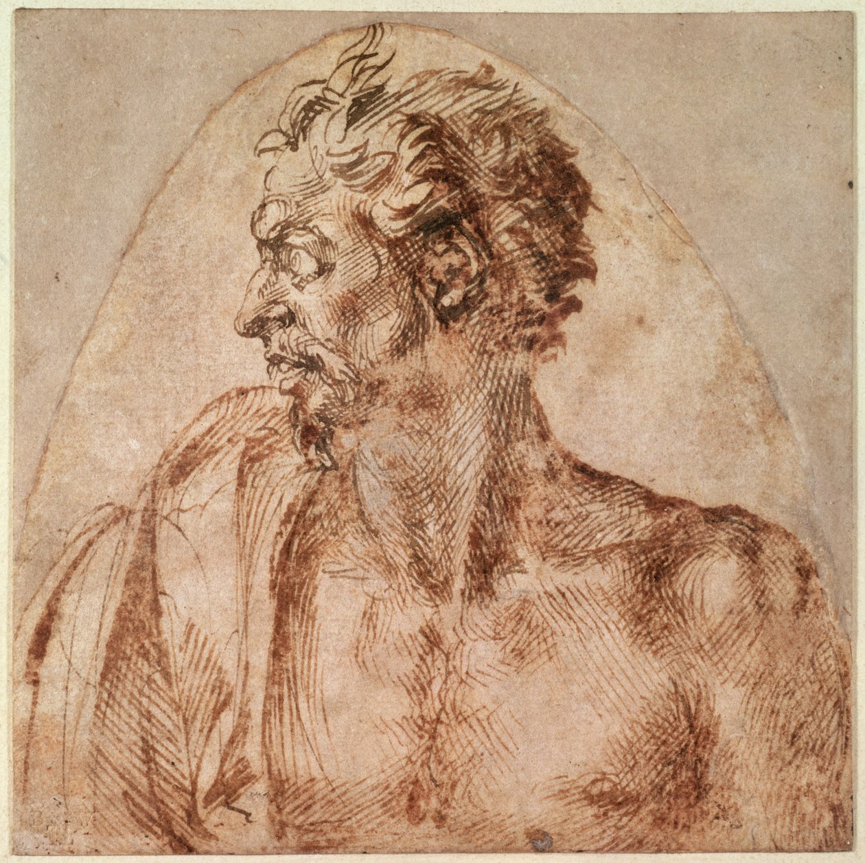 Fej és vállak tanulmányozása (tinta papíron) alkotó: Michelangelo Buonarroti