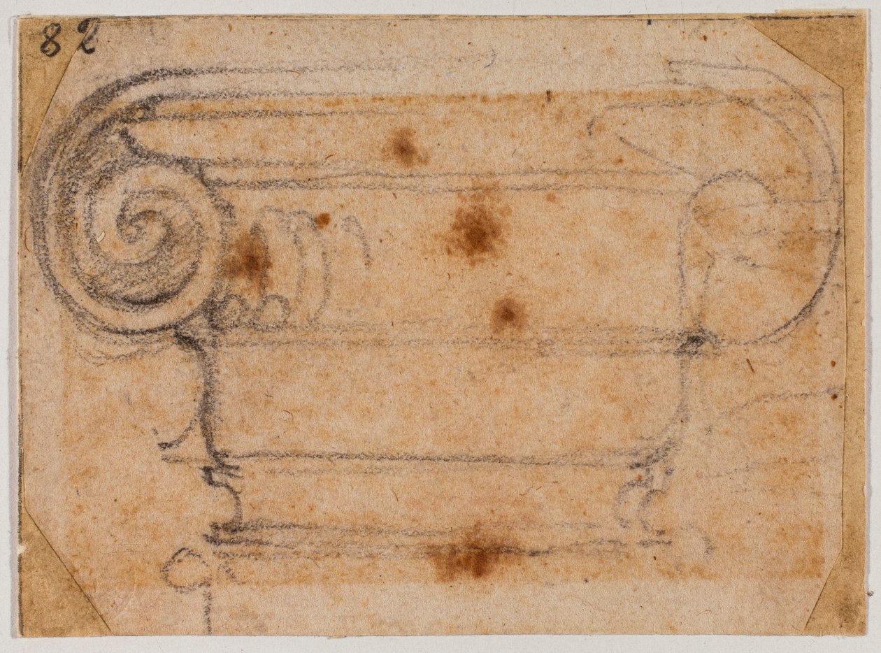 Az ionos tőke tanulmányozása alkotó: Michelangelo Buonarroti