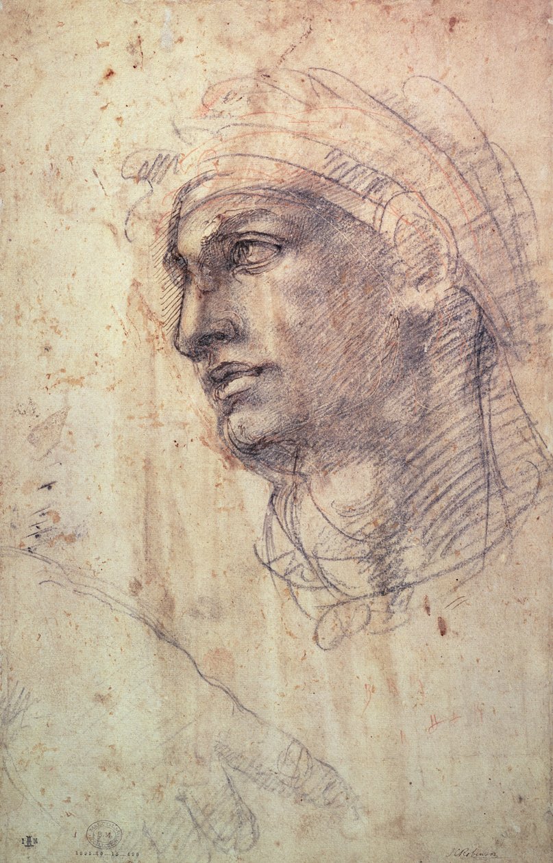 Egy fej tanulmányozása (szén papíron) alkotó: Michelangelo Buonarroti