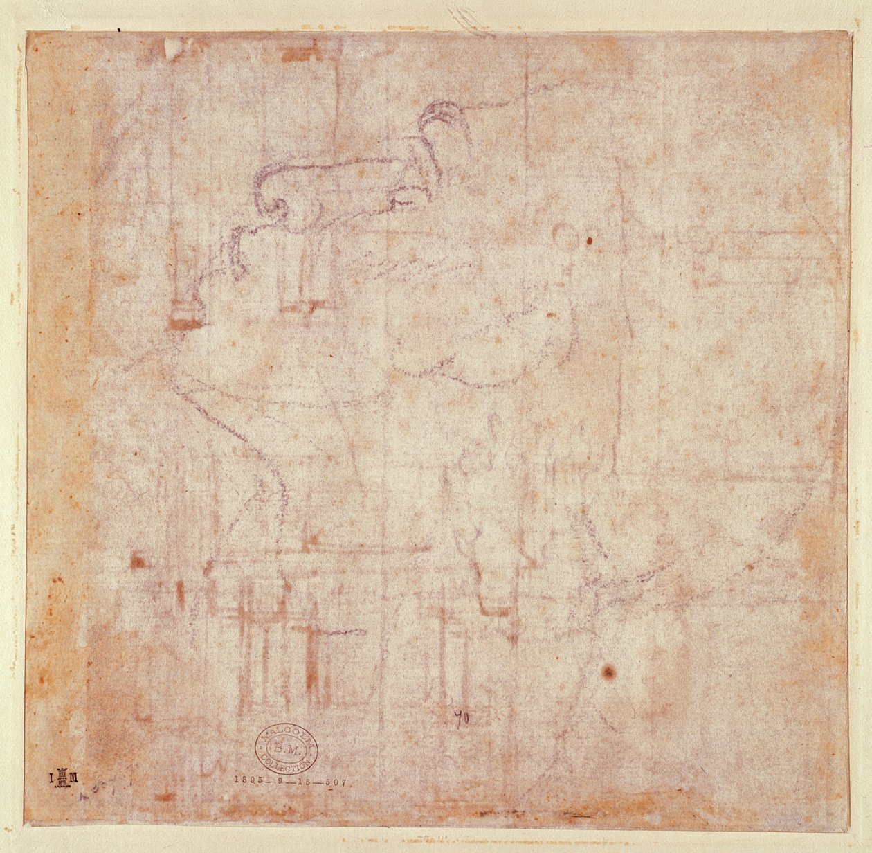 Tanulmány egy fejről, 1525-26 (fekete kréta papíron) (fordítva) (további lásd: 191779) alkotó: Michelangelo Buonarroti