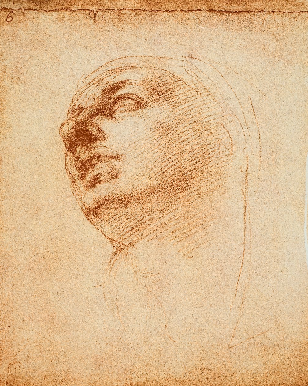 Michelangelo rajza egy arcról. Casa Buonarroti, Firenze alkotó: Michelangelo Buonarroti