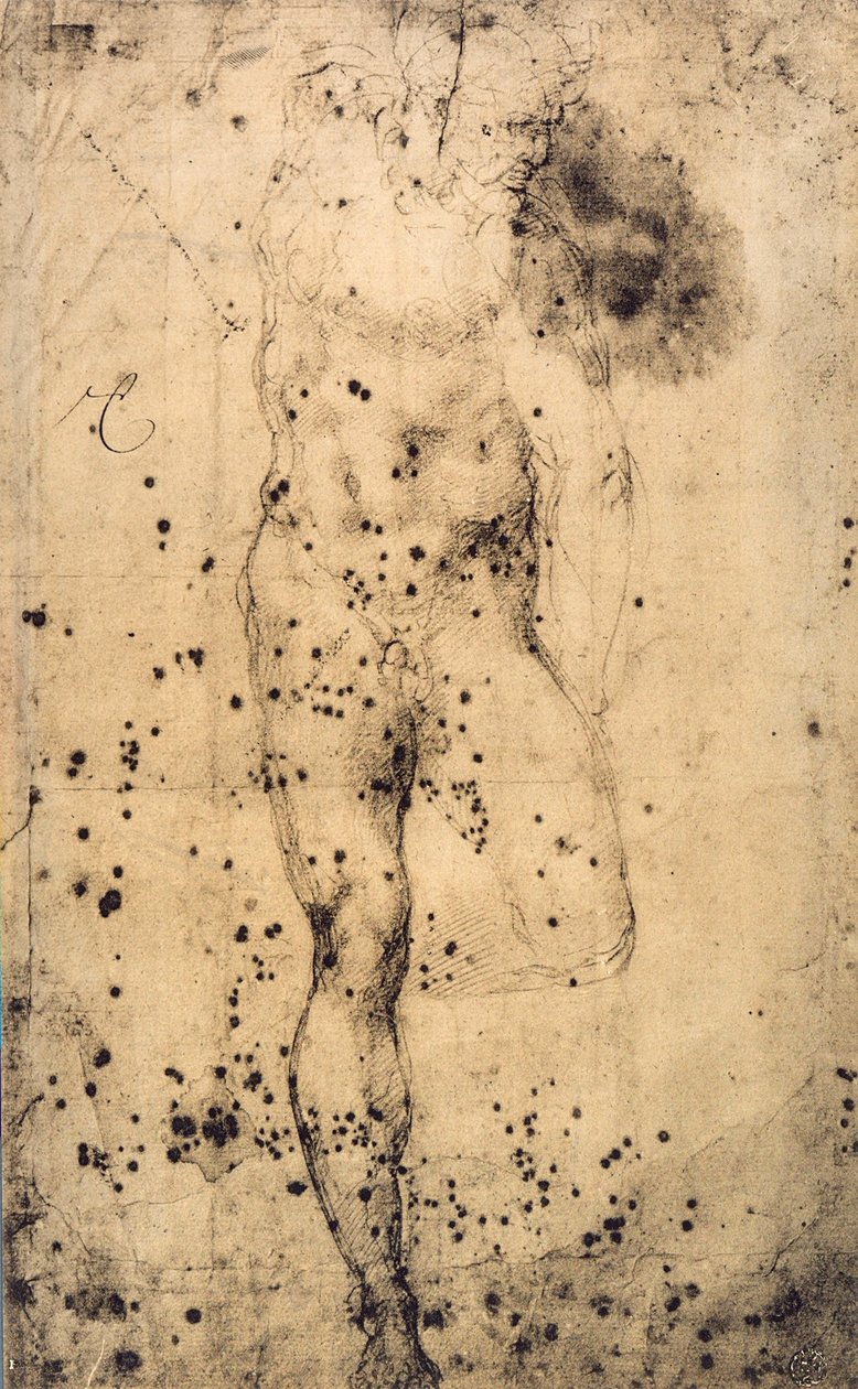 Felemelt bal lábú férfi akt tanulmányozása; Michelangelo rajza. Musee du Louvre, Párizs alkotó: Michelangelo Buonarroti