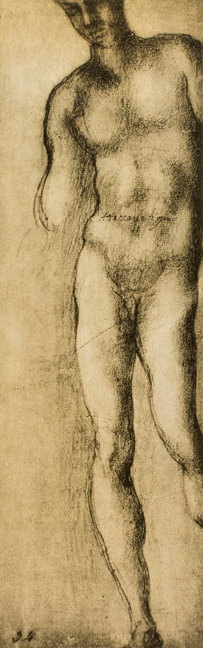 Tanulmány egy férfias alakról, Michelangelo rajza. Casa Buonarroti, Firenze alkotó: Michelangelo Buonarroti