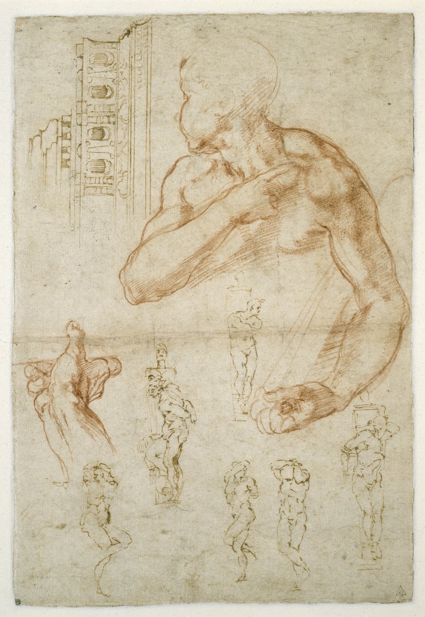 Tanulmány a líbiai szibilla segítő alakjáról, 1512 körül (piros kréta és toll papíron) alkotó: Michelangelo Buonarroti