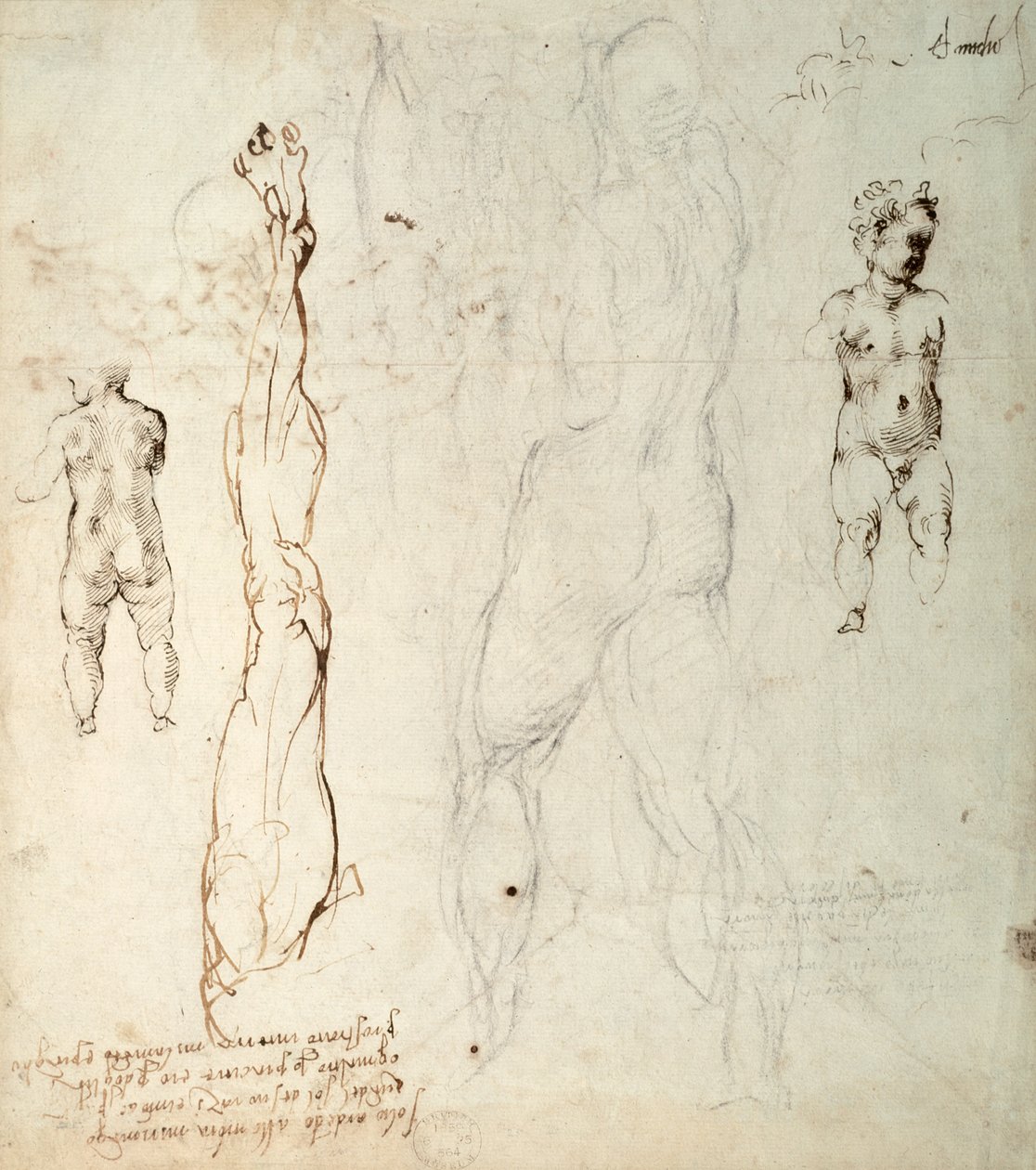 Tanulmány a Krisztus-gyermekről és egy anatómiai rajz jegyzetekkel (fekete kréta és barna tinta papíron) (fordítva) alkotó: Michelangelo Buonarroti