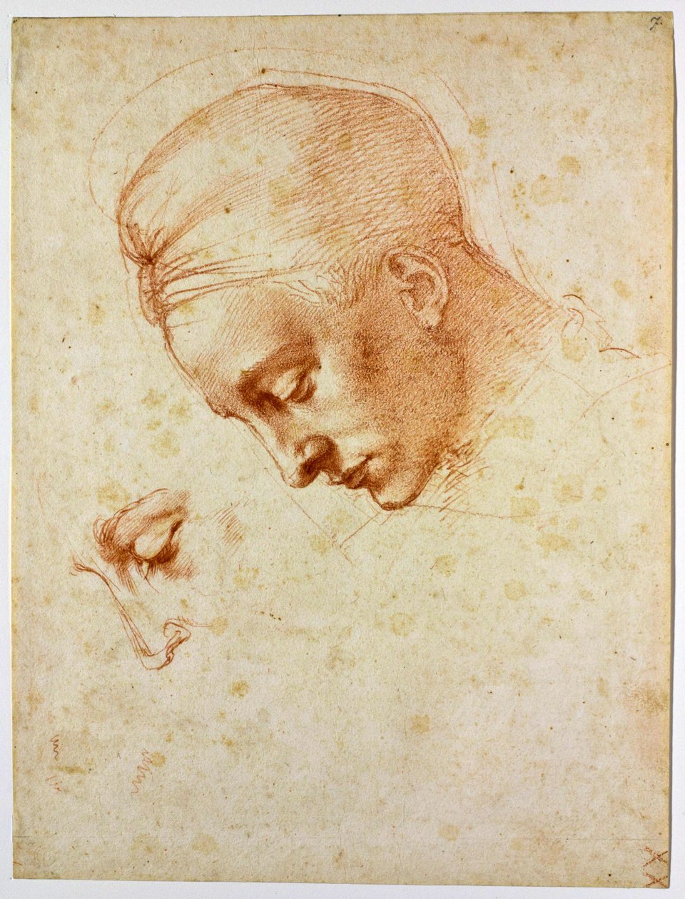 Tanulmány Léda fejéhez, 1530 körül alkotó: Michelangelo Buonarroti