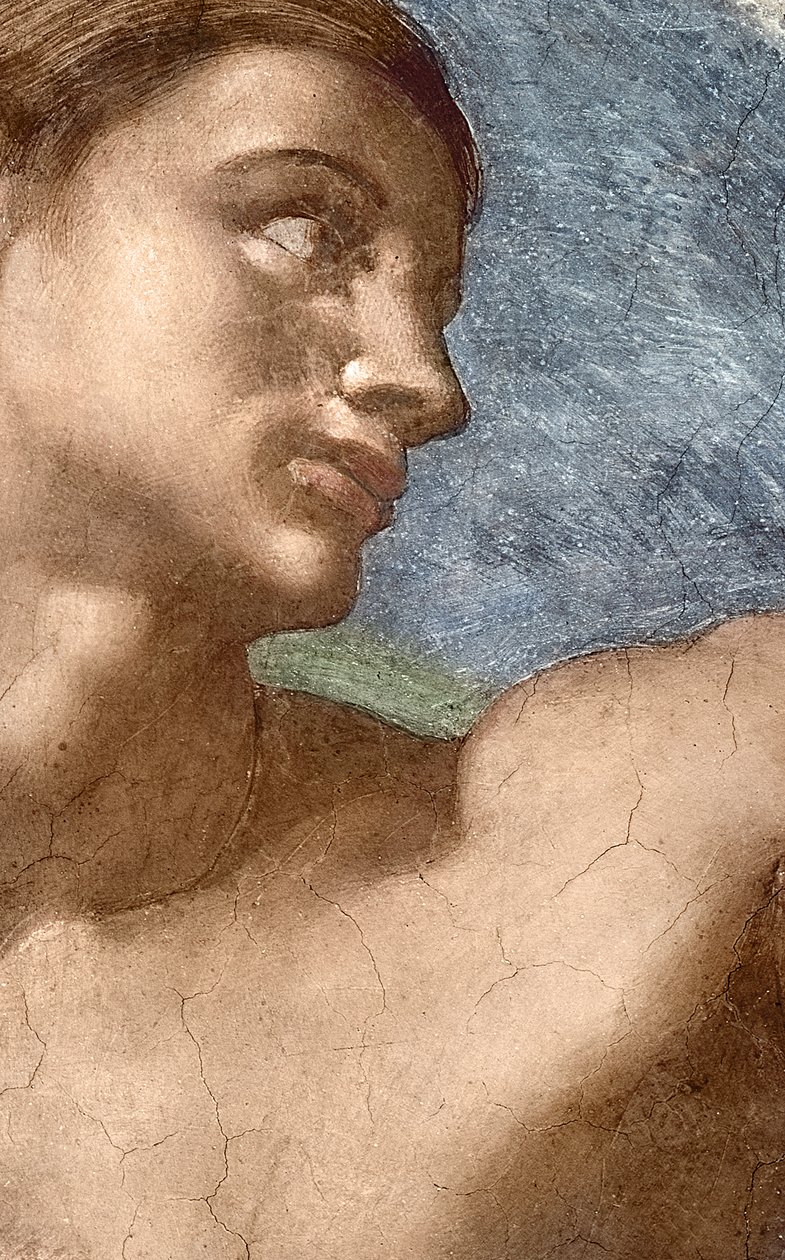 Ádám teremtése, Ádám fejének részlete alkotó: Michelangelo Buonarroti