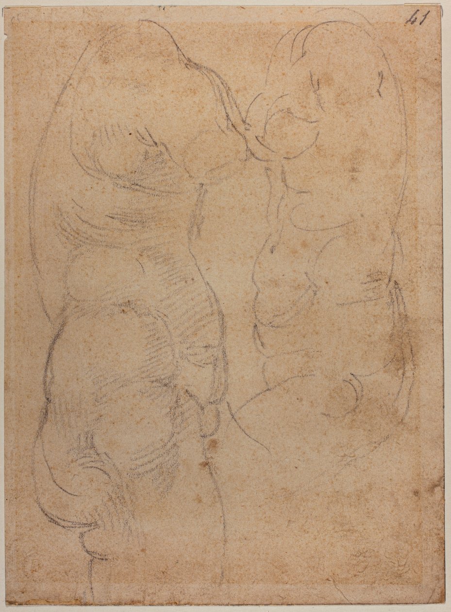 Két tanulmány egy ősi Vénuszról alkotó: Michelangelo Buonarroti