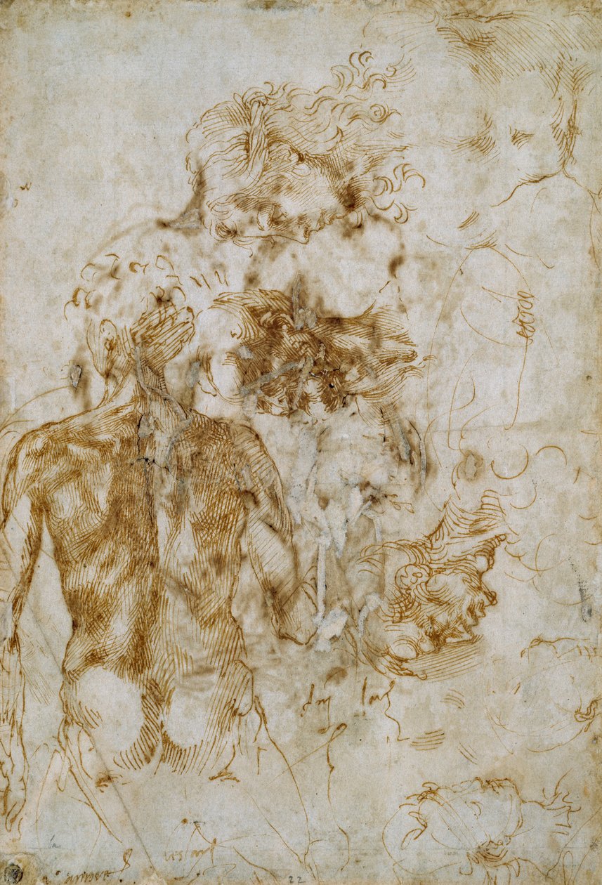 Különféle ábratanulmányok, c1490-1560 alkotó: Michelangelo Buonarroti