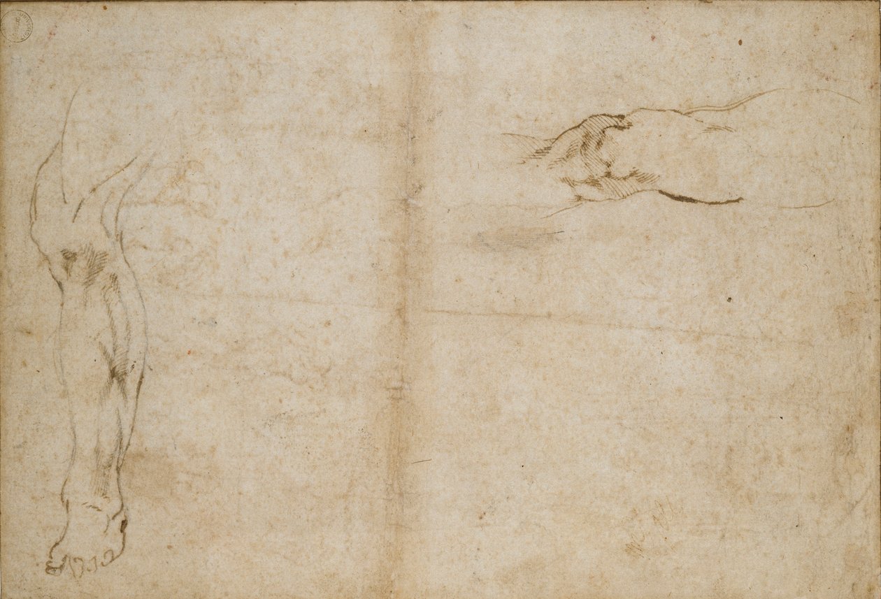 Verso: Tanulmányok egy férfi lábáról, c1490-1560 alkotó: Michelangelo Buonarroti