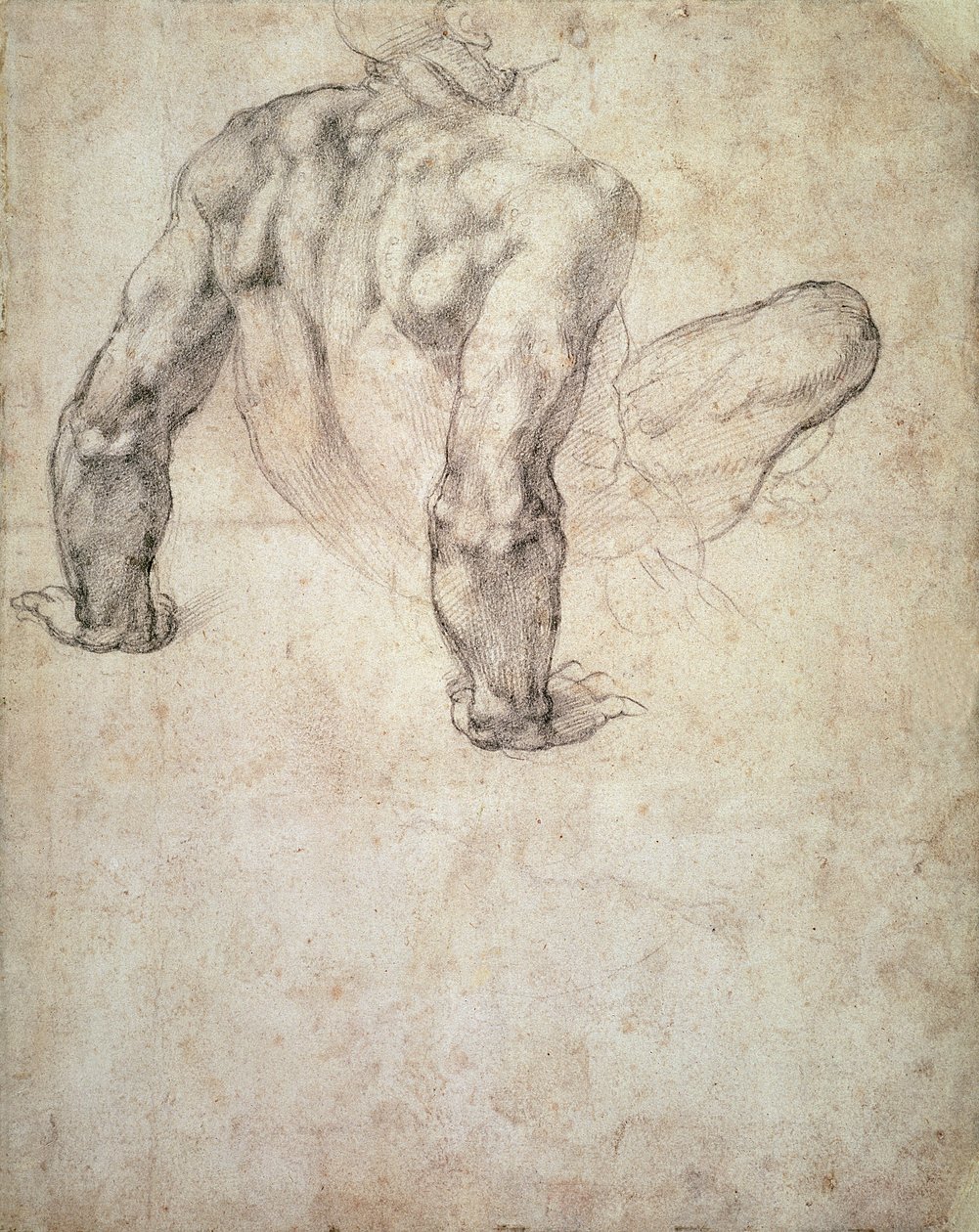 W.63r Tanulmány egy férfi aktról, aki hátradől a kezén alkotó: Michelangelo Buonarroti