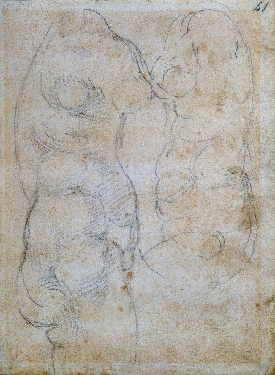 Két tanulmány egy ősi nő törzsén alapul alkotó: Michelangelo Buonarroti