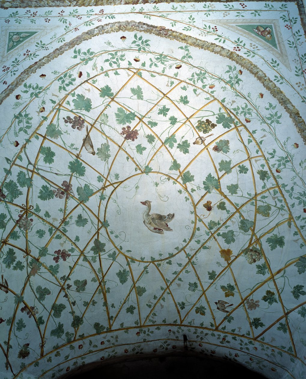 Kilátás a pince boltozatára, Villa Medicea di Careggi alkotó: Michelozzo di Bartolommeo