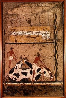Egy bika temetési áldozata, az Iti-sírból (falfestmény) alkotó: Middle Kingdom Egyptian