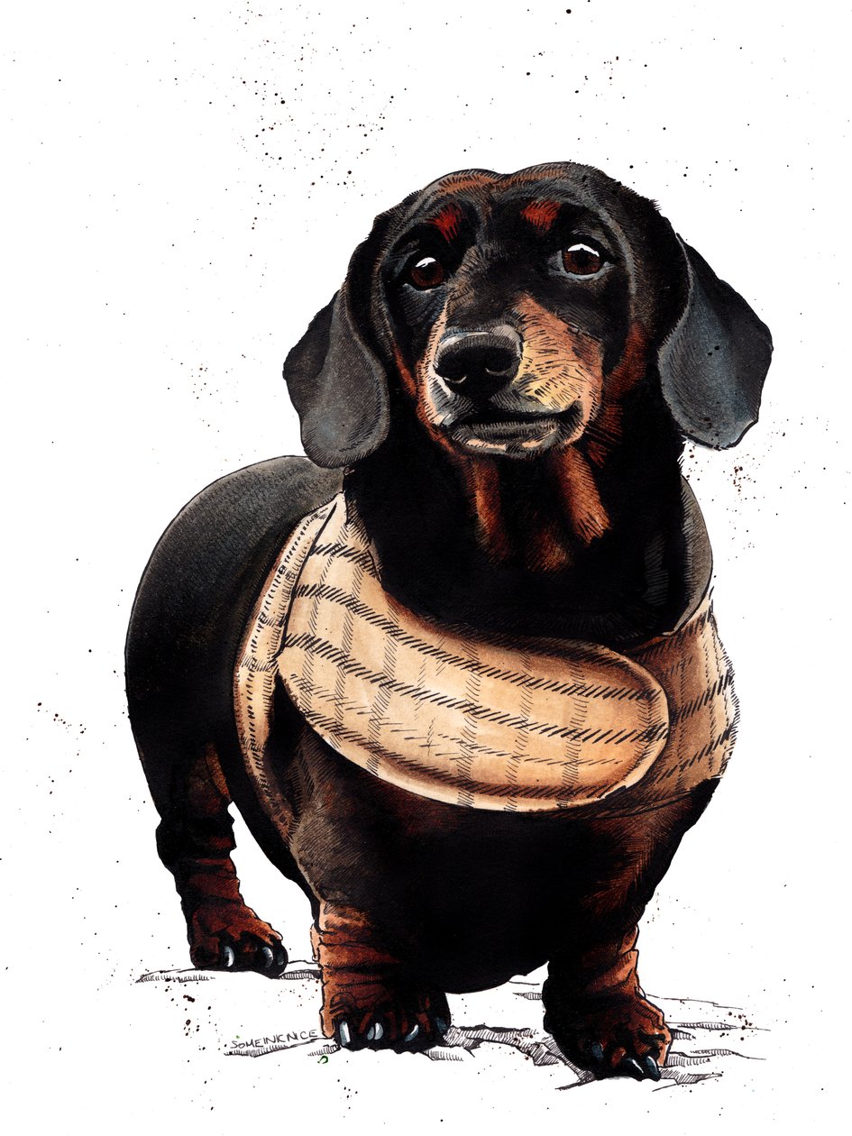 Arthur, a tacskó fehéren, 2019 alkotó: Mike Davis