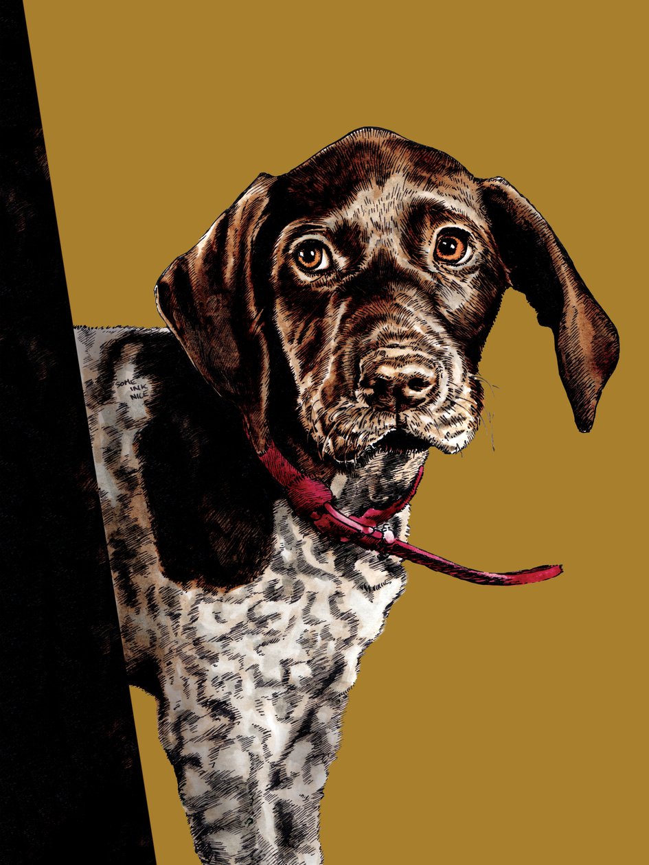 Bye Bye Puppy a Golden Yellow-n, 2020 alkotó: Mike Davis
