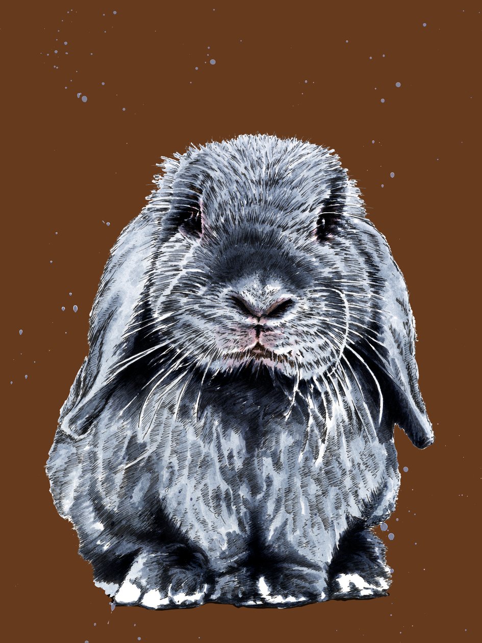 Gray One The Bunny a Burnt Orange-on, 2020 alkotó: Mike Davis