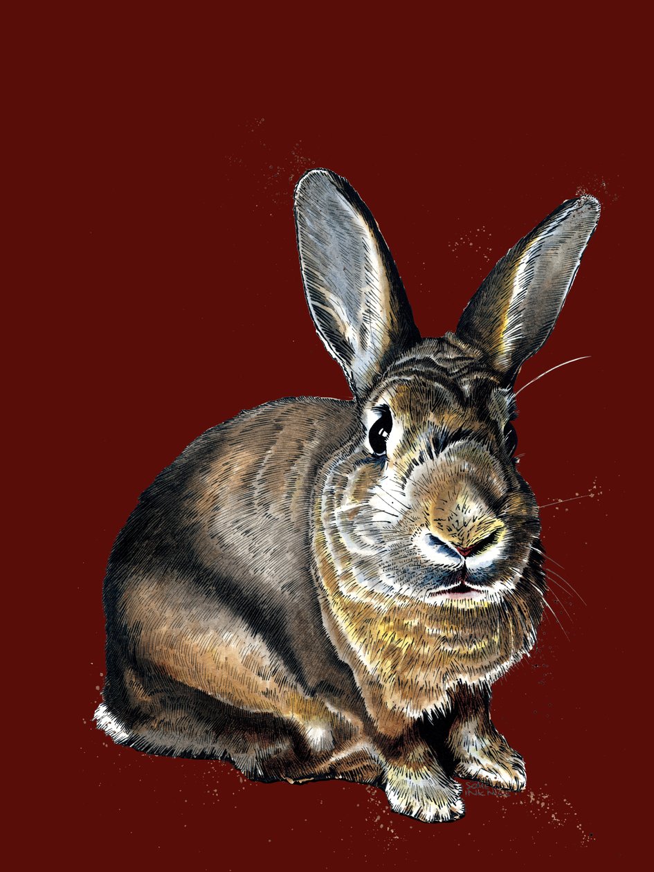 Meg The Bunny a Red Oxide-on, 2020 alkotó: Mike Davis