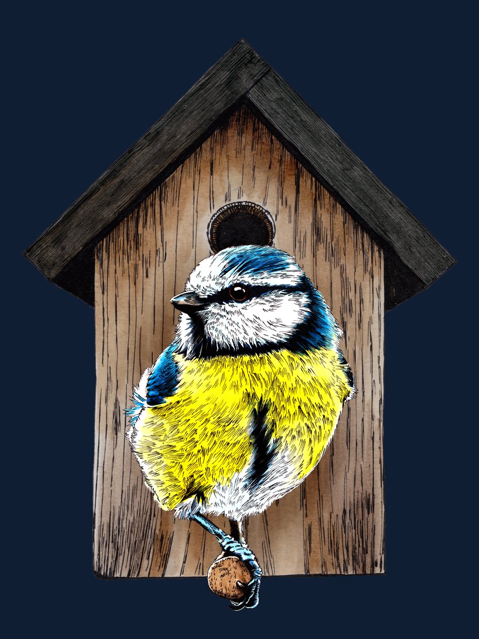 New Home Blue Tit a Midnight Blue-n, 2020 alkotó: Mike Davis