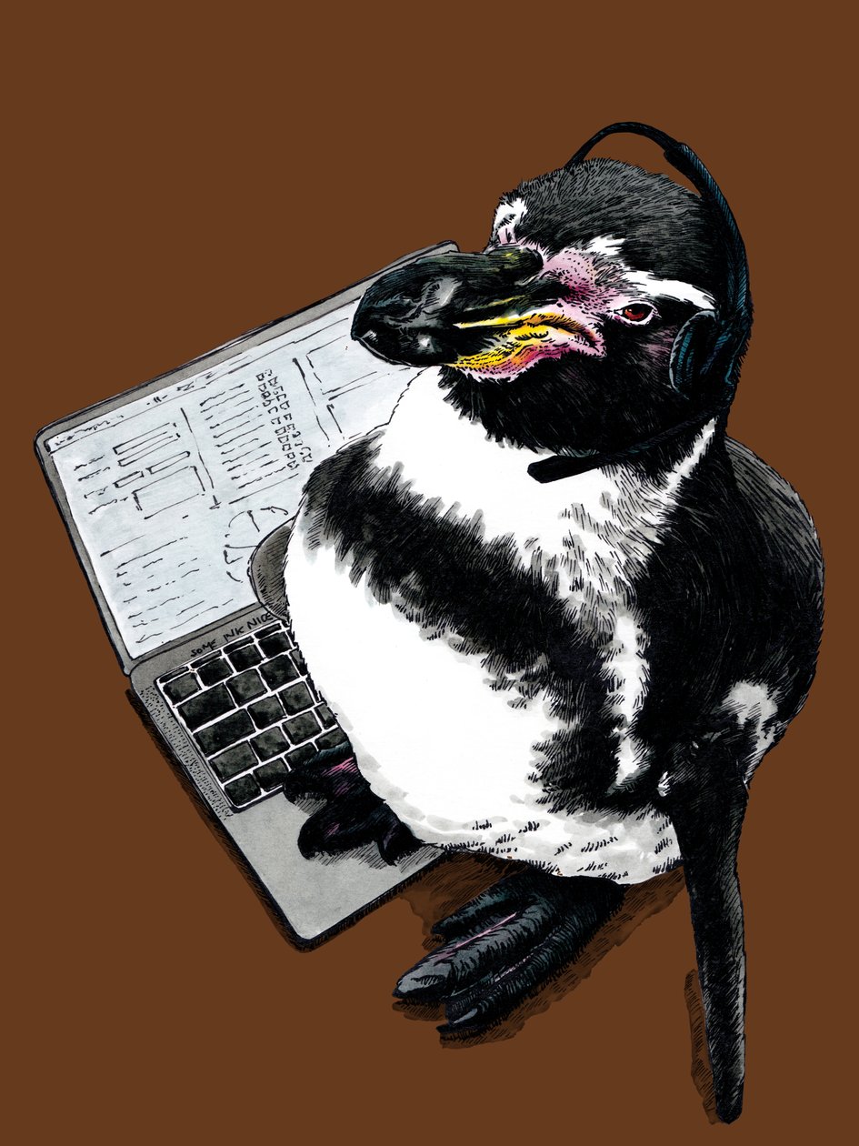 Új Job Penguin a Burnt Orange-on, 2020 alkotó: Mike Davis