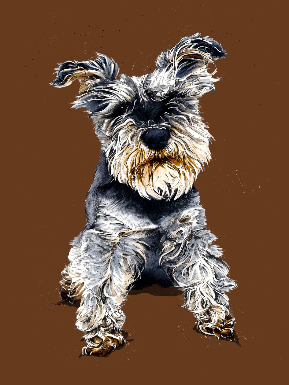 Ollie, a schnauzer az égetett narancson, 2020 alkotó: Mike Davis