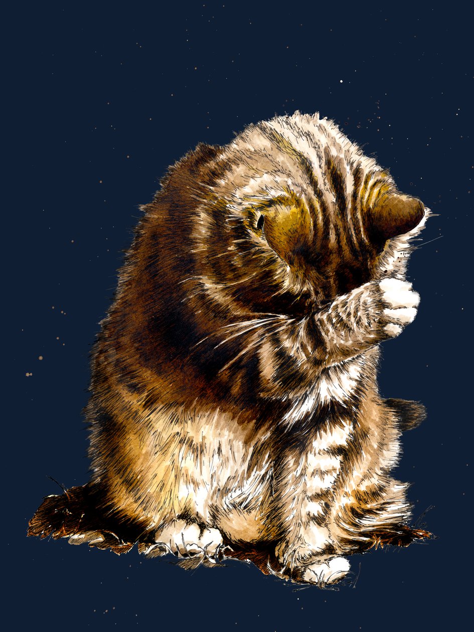 Smallfry The Cat on Midnight Blue, 2020 alkotó: Mike Davis