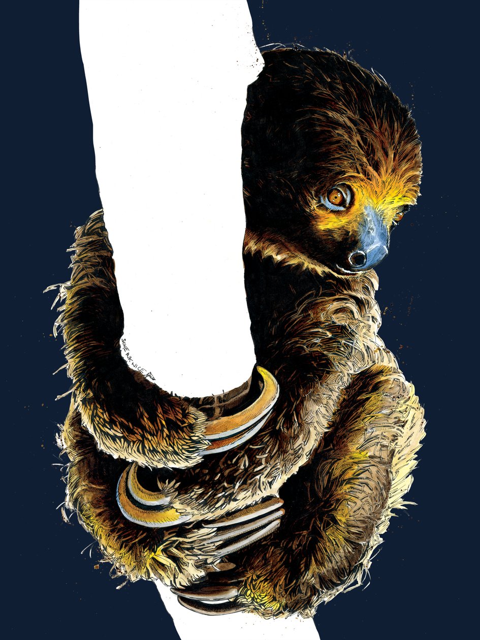 Talita The Sloth a Midnight Blue-n, 2020 alkotó: Mike Davis