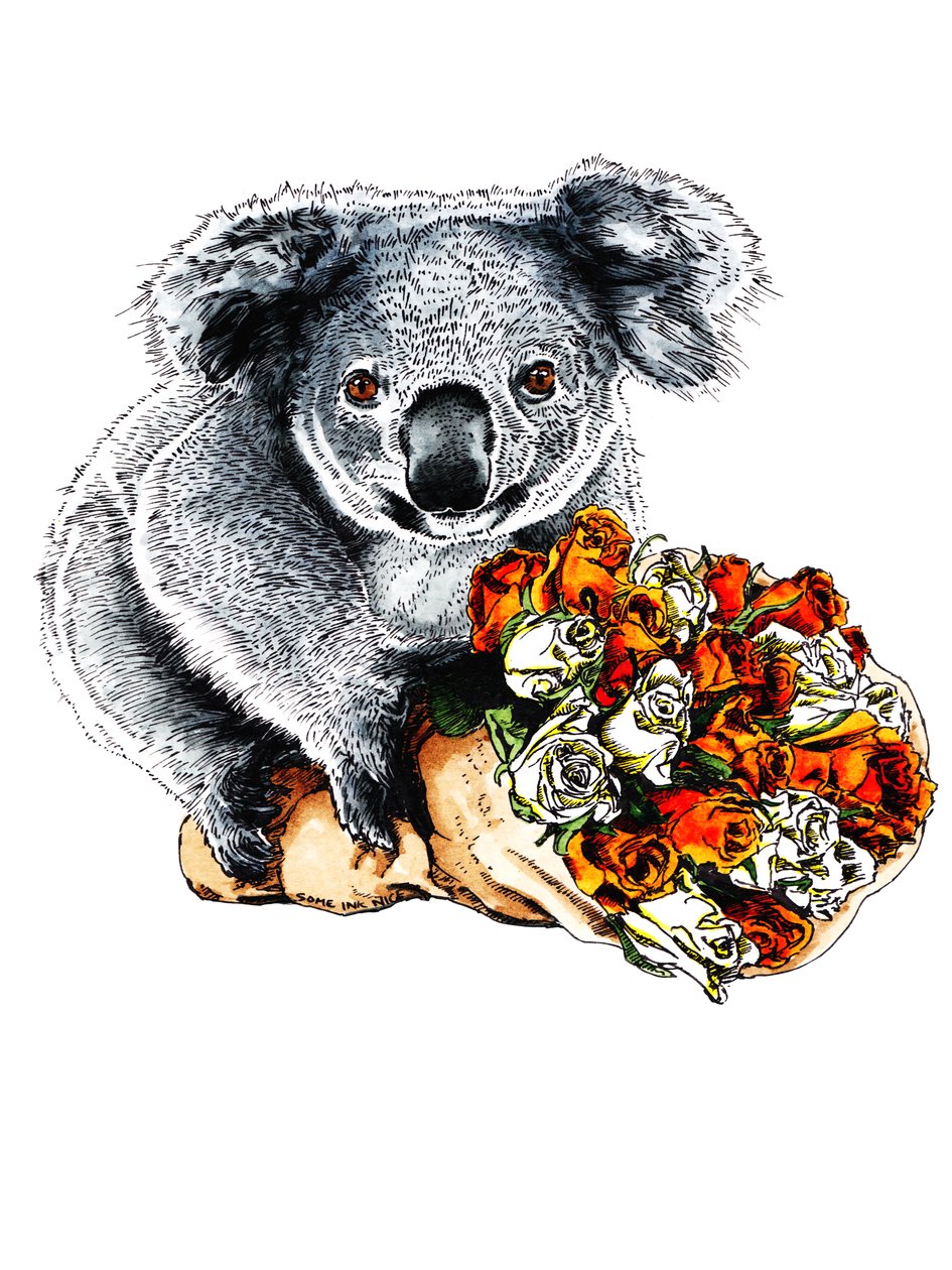 Köszönöm Koala on White, 2020 alkotó: Mike Davis