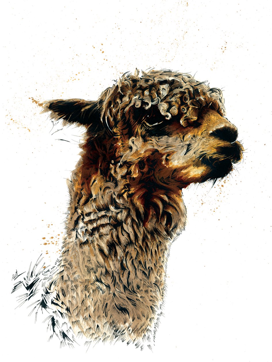 Alpaka fehéren, 2019 alkotó: Mike Davis