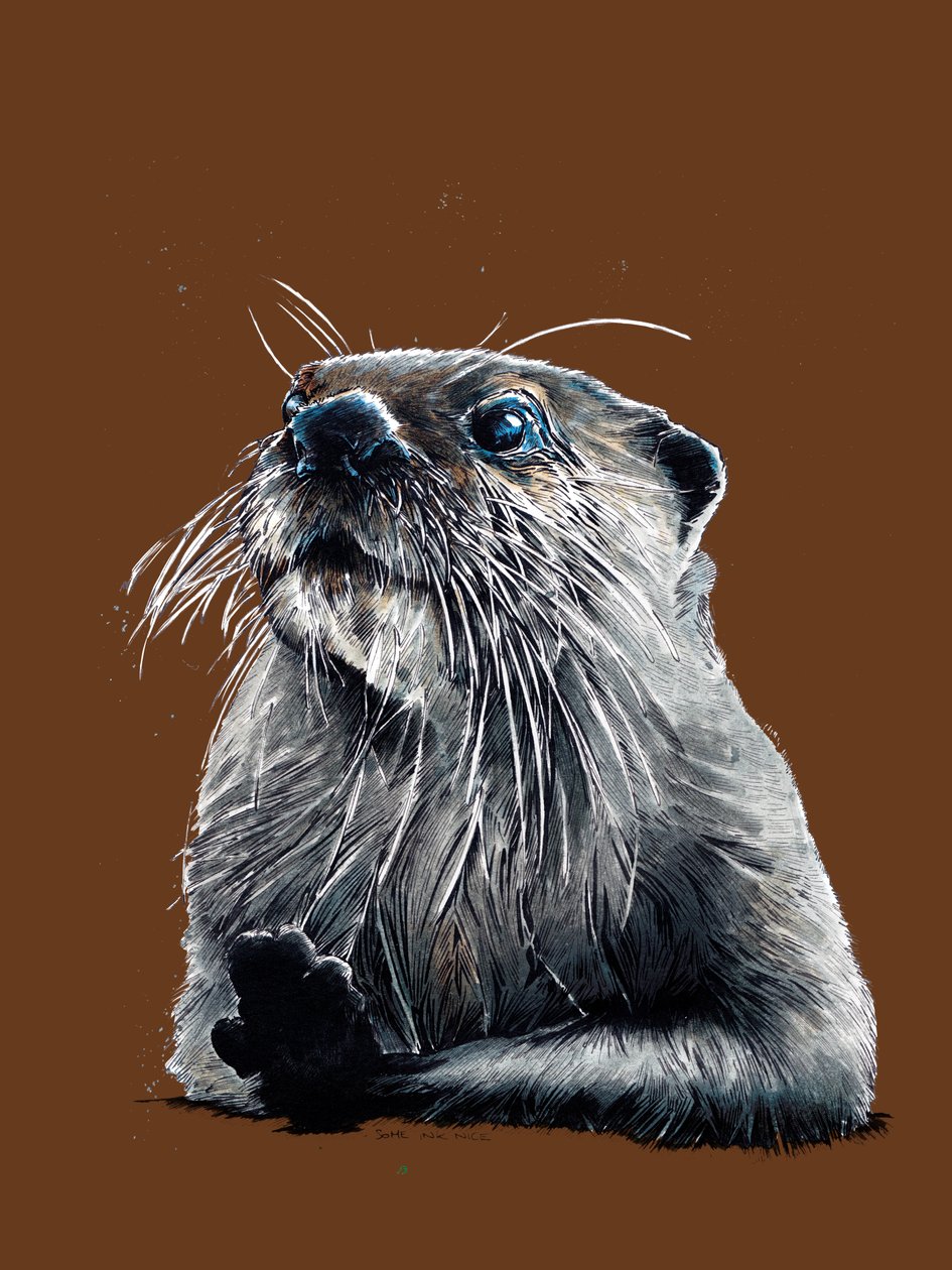The Otter on Burnt Orange, 2020 alkotó: Mike Davis