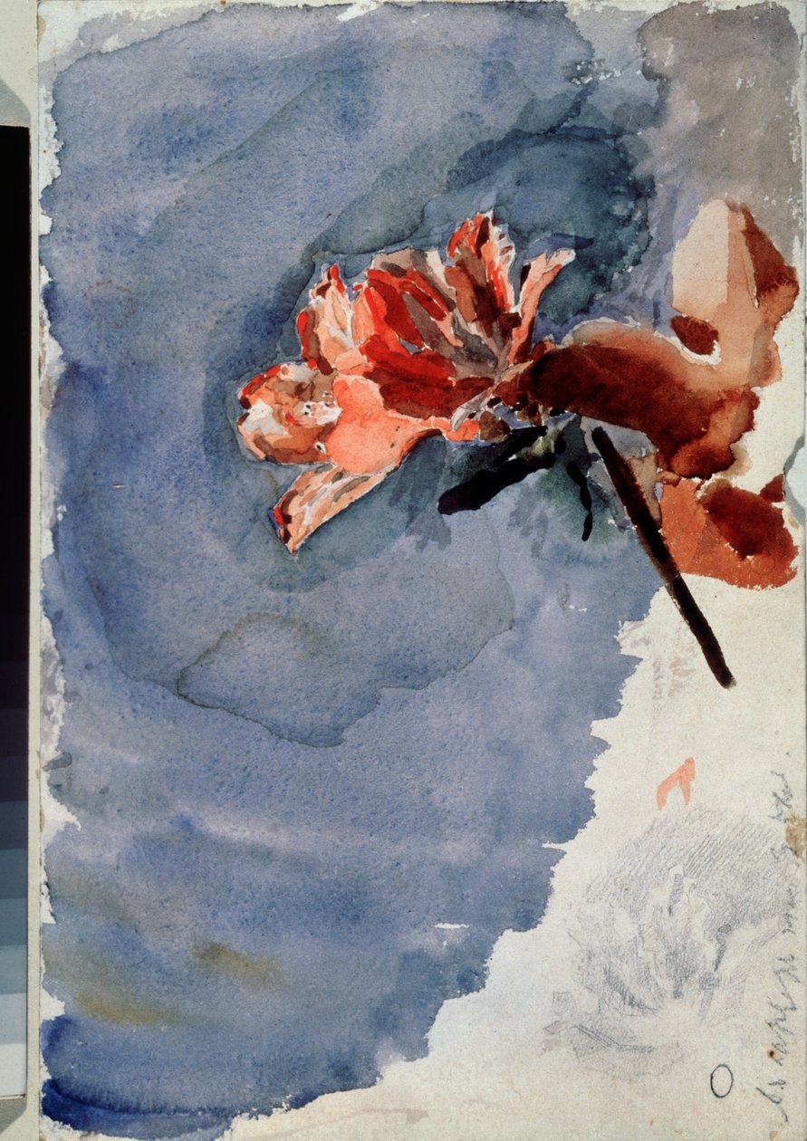A vörös azálea (Vörös Azalea) – Mikhail Alexandrovich Vrubel (Vrubel) (1856-1910) akvarell alkotása papíron alkotó: Mikhail Aleksandrovich Vrubel