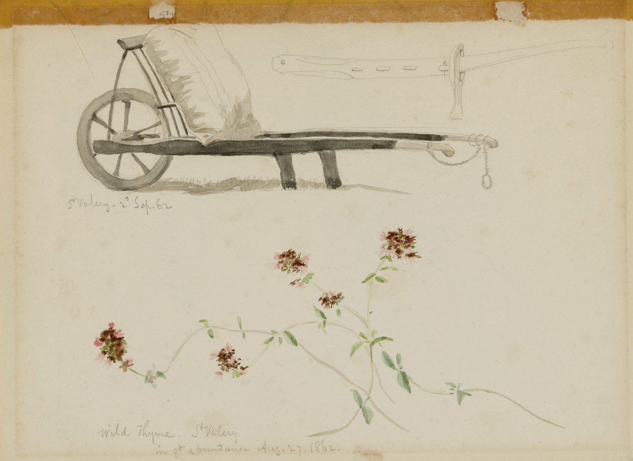 St. Valery-Blow-Wild Thyme alkotó: Miner Kilbourne Kellogg
