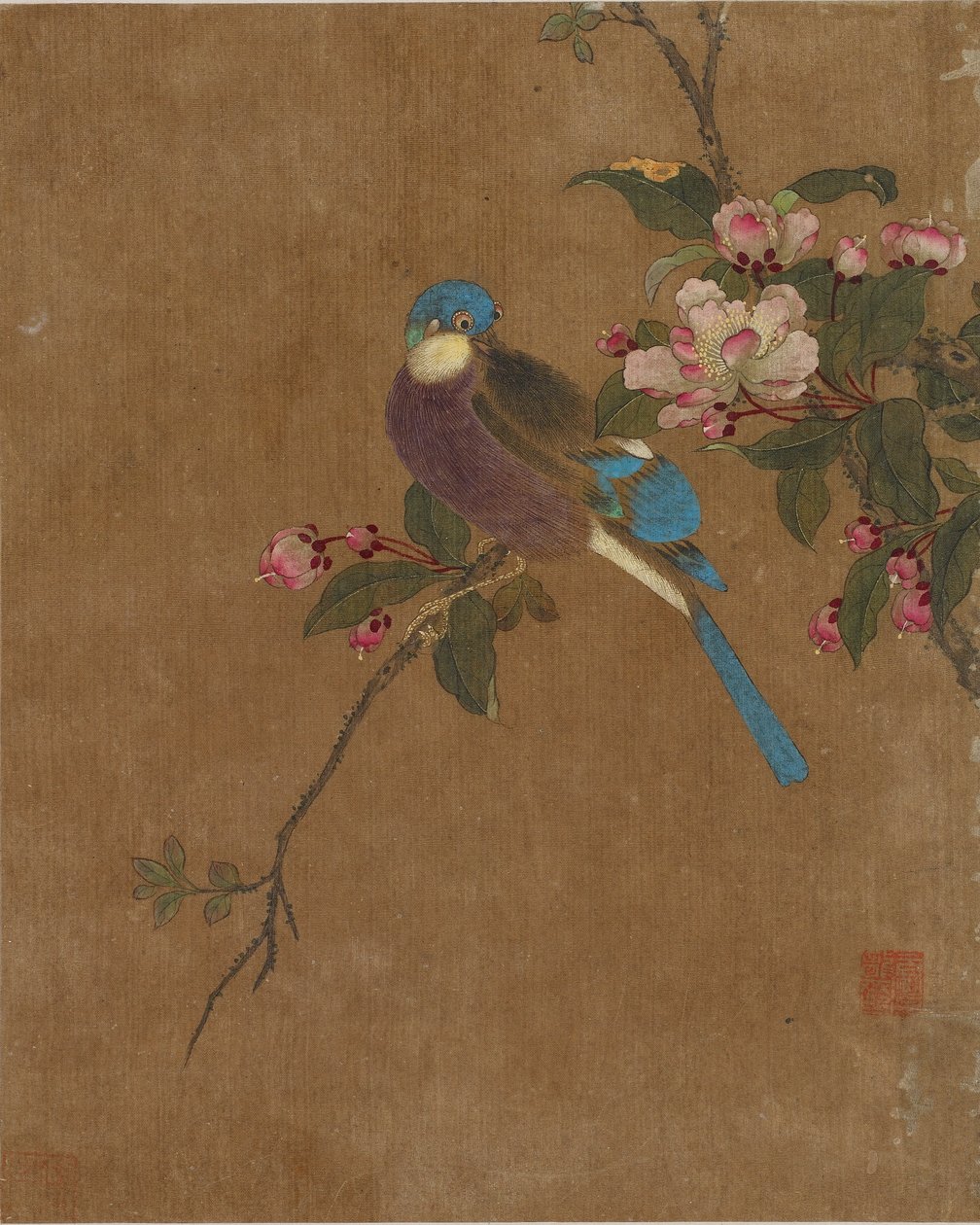 Tíz kép madárról és virágról (színes selyemen) alkotó: Ming Dynasty Chinese School