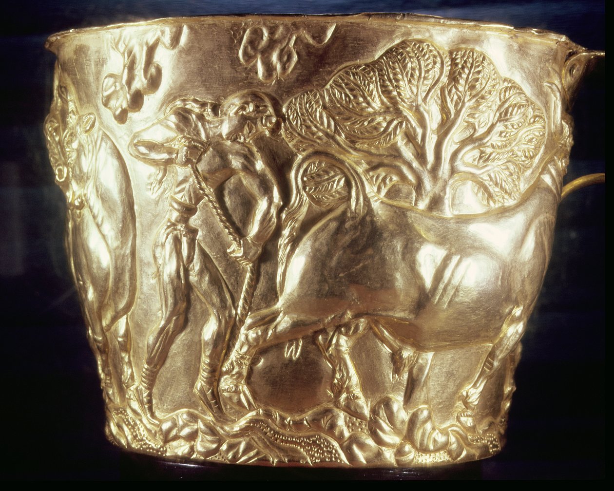 Házi bikát ábrázoló csésze, amelyet Vaphio királyi sírjában találtak, Spárta, I. minószi kor, Kr. e. 1500 körül (arany) (lásd még 155940). alkotó: Minoan