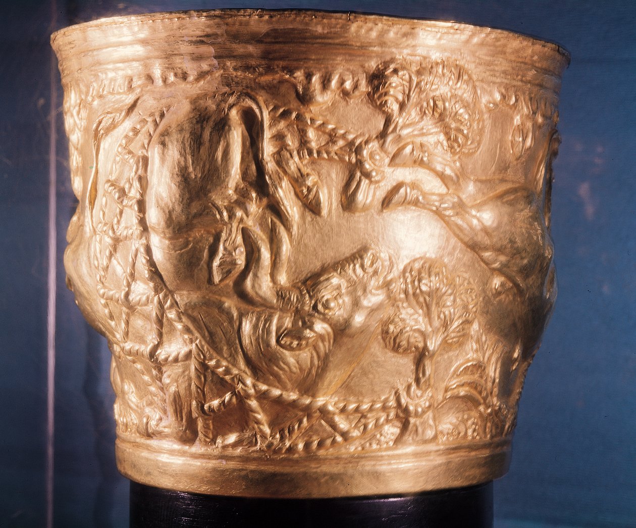 Csésze, egy vad bika elfogását ábrázoló, Vaphio királysírjában, Spártában, a késő Minószi I. korszakban, ie 1500 körül (arany) (lásd még: 148823) alkotó: Minoan