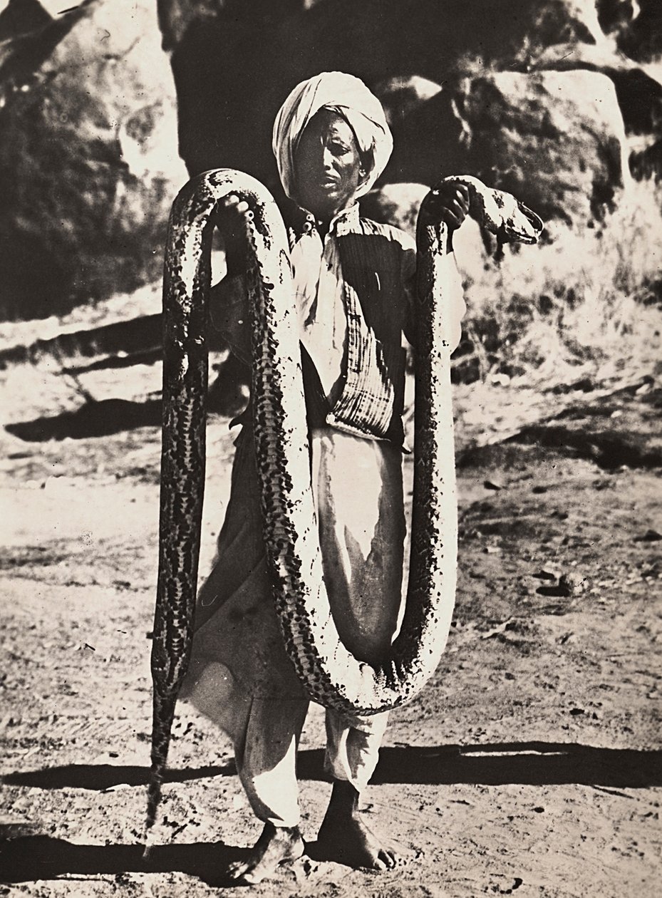 „Birodalom építése” a fasiszta korban: bennszülöttek pitonnal, 1936.05.09. (f/w fotó) alkotó: Modestino Baldinetti